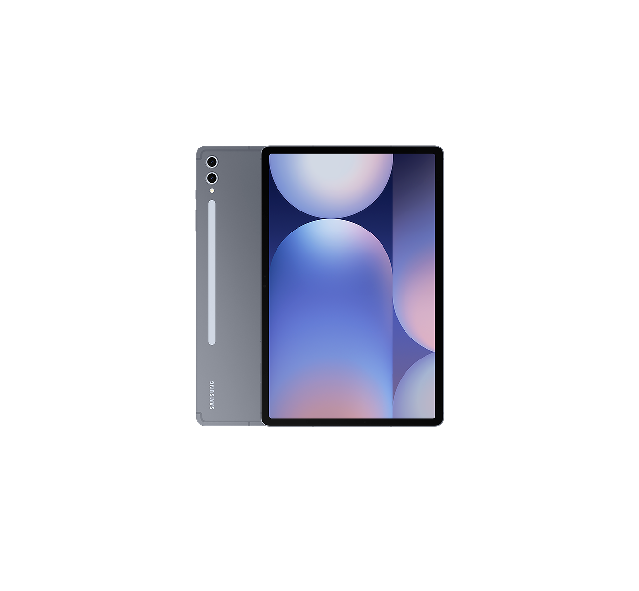 Samsung Galaxy Tab S10 Gray