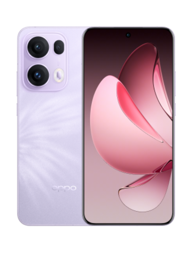 purple-440-440