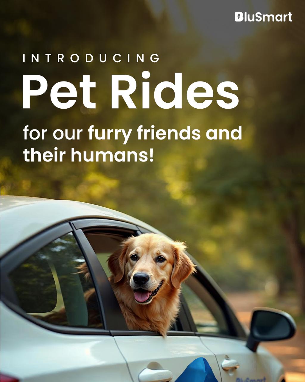 BluSmart Introduces ‘Pet Rides’ Service in Delhi and Gurugram