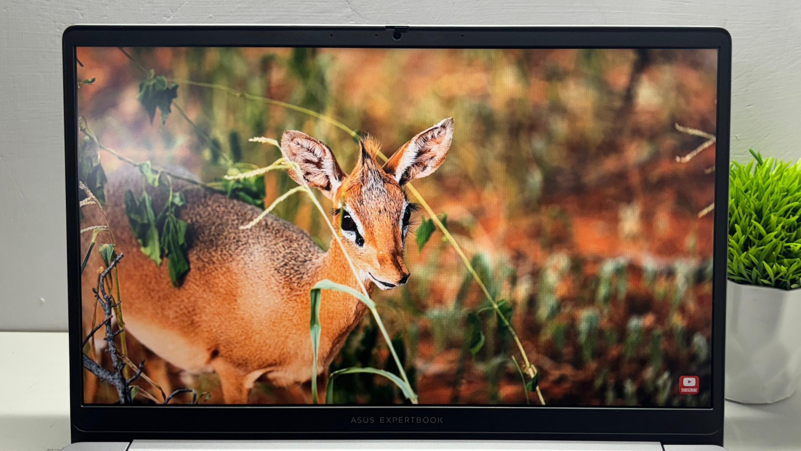 ASUS ExpertBook