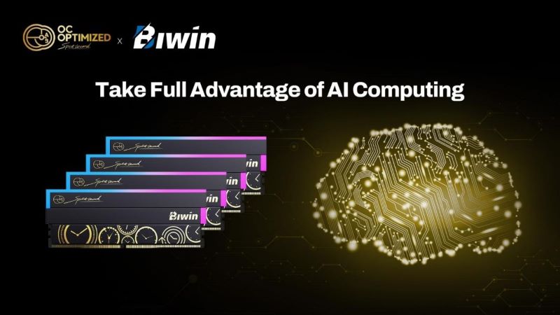 Biwin 1