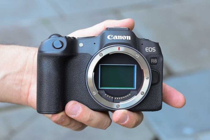 Canon Launches New Camera and Printer Lineup Ahead of Diwali Festivities 4 Canon EOS R8