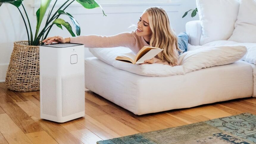 Top 5 Air Purifiers Under ₹20,000 for Cleaner, Healthier Air at Home