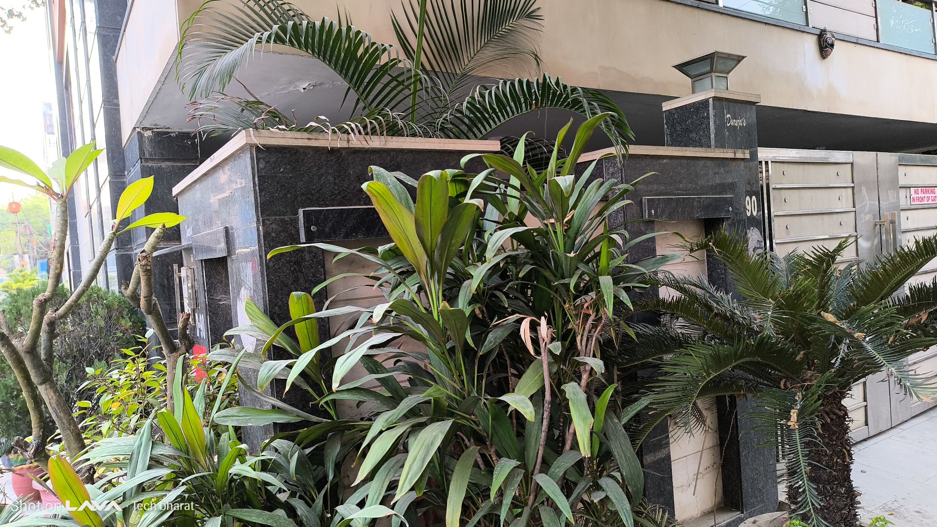 Lava Agni 4 5G Review: Is This the Best Budget 5G Phone in 2025? 17 Lava Agni Camera Samples