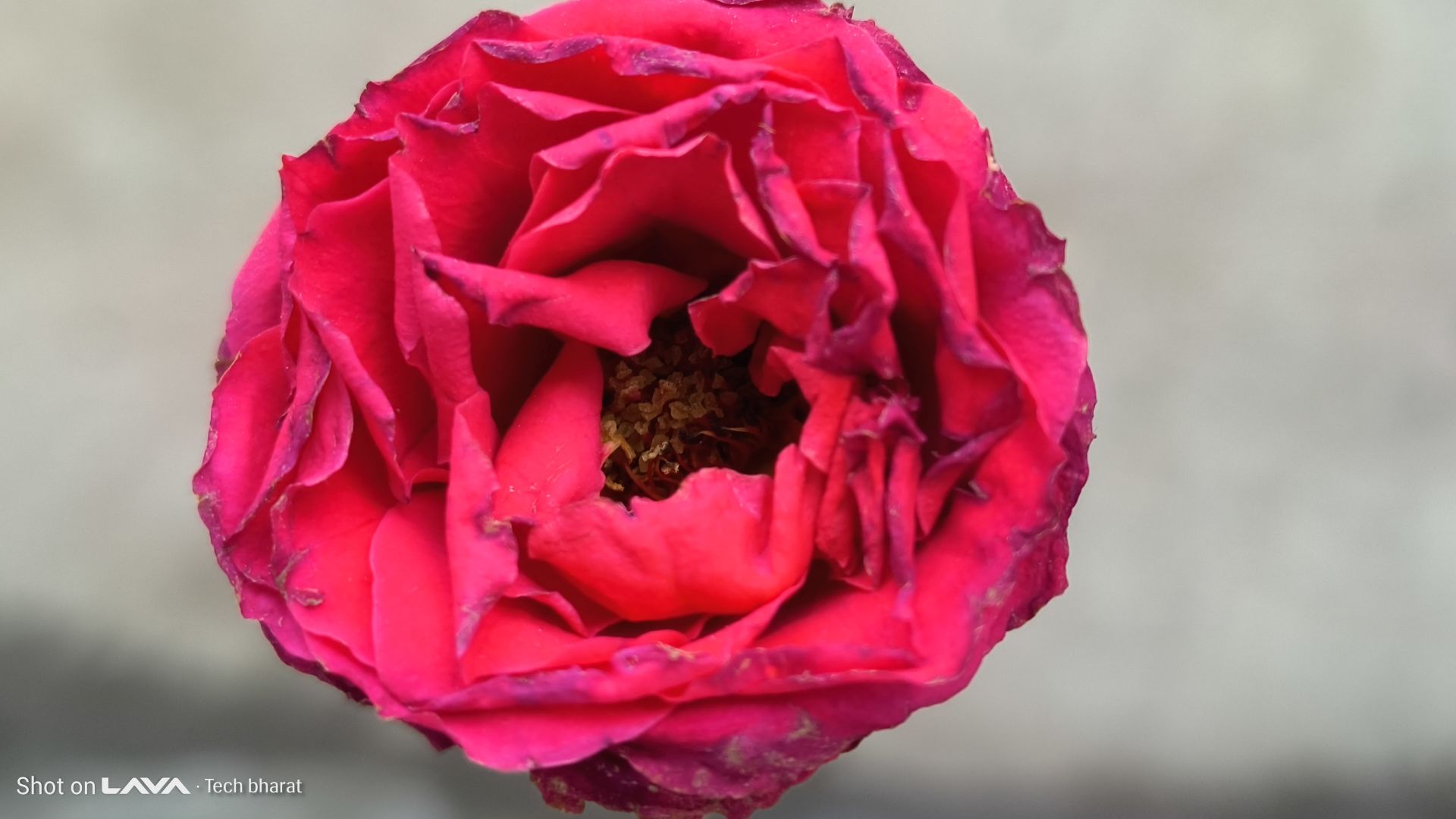 Lava Agni 4 5G Review: Is This the Best Budget 5G Phone in 2025? 18 Lava Agni Camera Samples