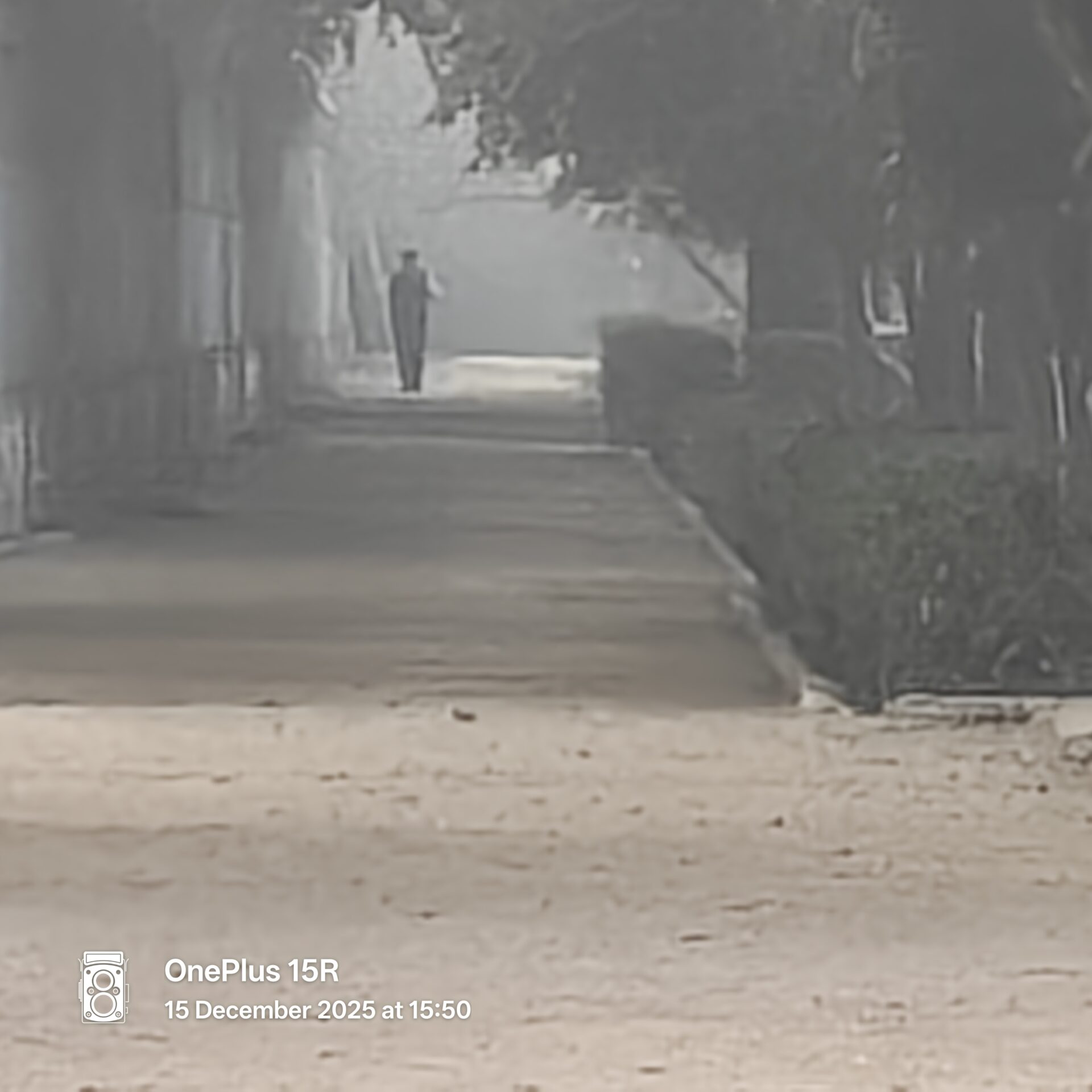 OnePlus 15R Camera Samples