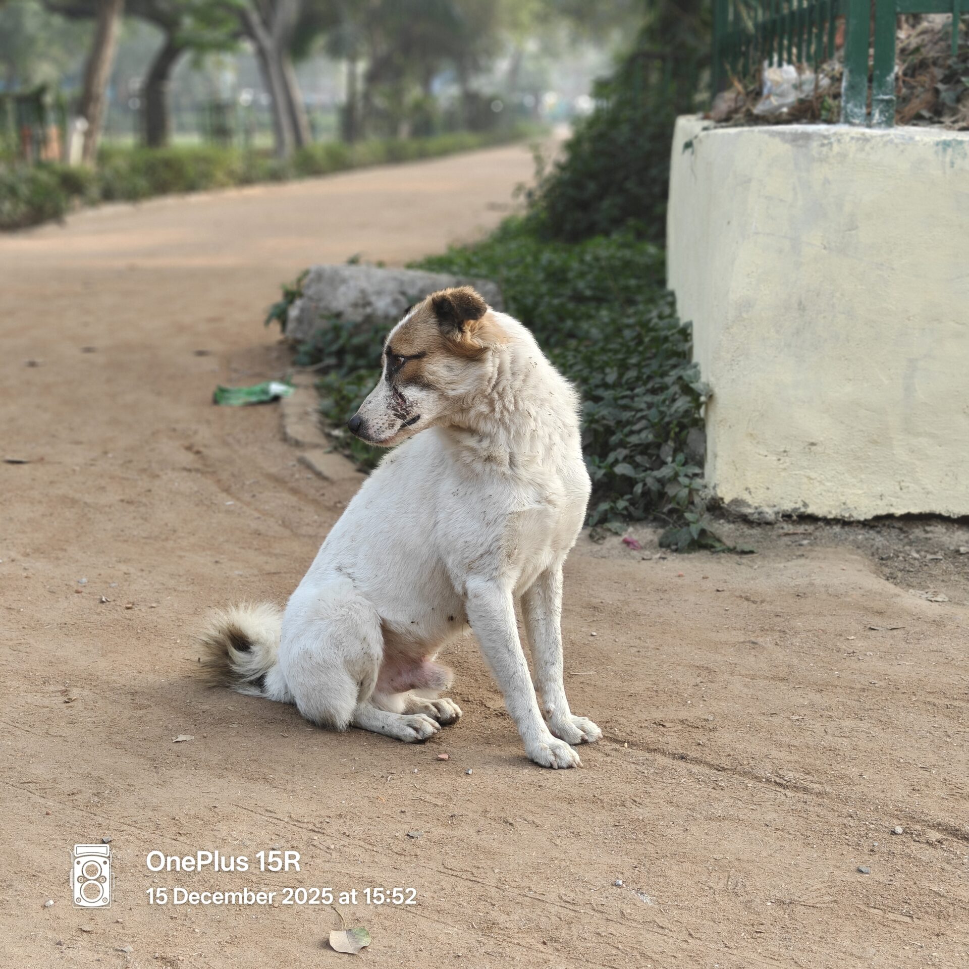 OnePlus 15R Camera Samples